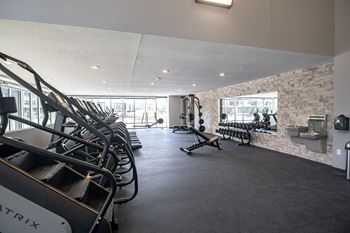 A gym with a row of treadmills on the left and a bench with weights on the right.